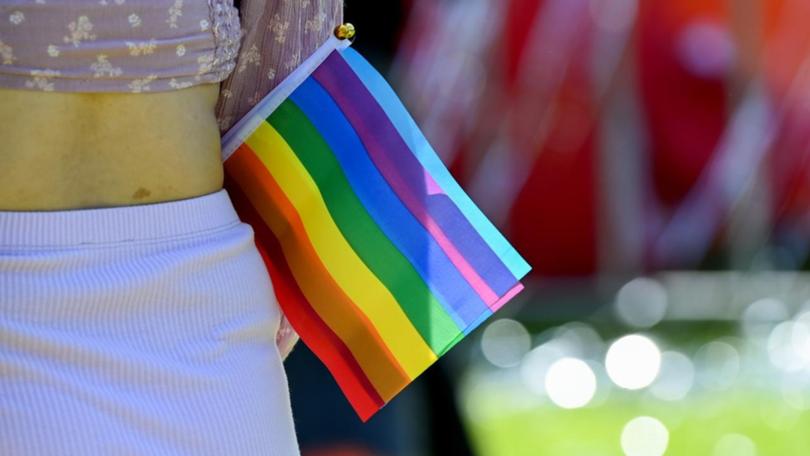 Rally organisers are calling for the council not to ban books featuring same-sex parenting. (Bianca De Marchi/AAP PHOTOS)