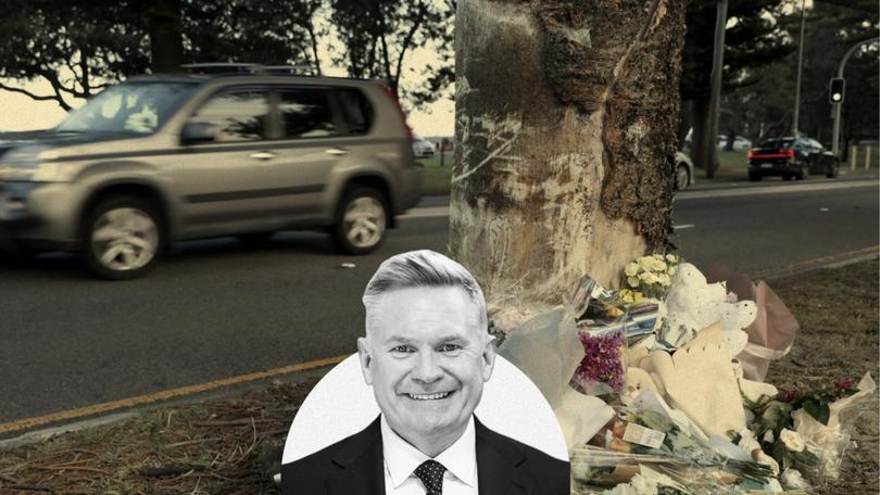 MICHAEL USHER: Cars are safer than ever and driver training standards have never been more stringent. So, why does the road toll keep climbing? How do we stop the carnage?