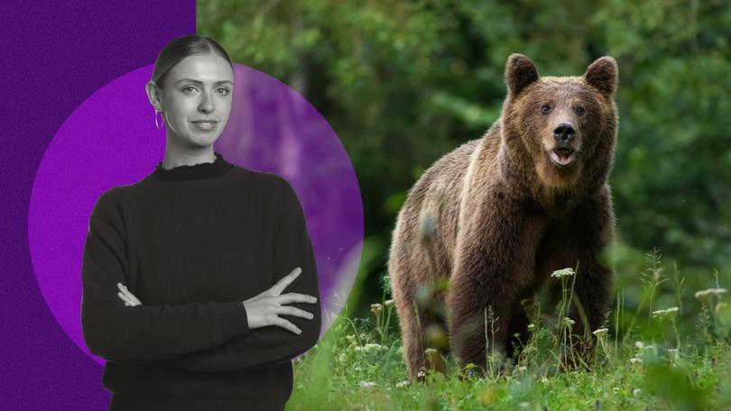 OLIVIA SENIOR: Why women would rather be alone with a bear in the woods