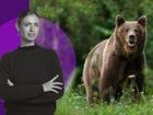 OLIVIA SENIOR: Why women would rather be alone with a bear in the woods