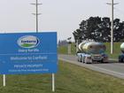 Global dairy giant Fonterra plans to sell its Australian assets