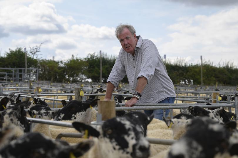 Jeremy Clarkson and his sheep. Clarkson's farm.
