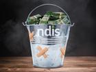 Catching the Shonky Providers in the NDIS
Illustration: Don lindsay