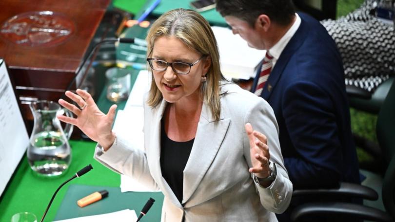 Jacinta Allen in state parliament