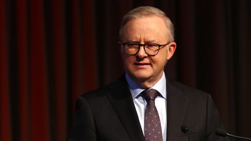 Anthony Albanese at podium