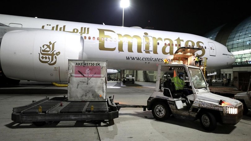 Emirates says a number of flamingos have been killed after colliding with a plane landing in Mumbai. 