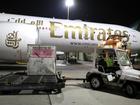 Emirates says a number of flamingos have been killed after colliding with a plane landing in Mumbai. 