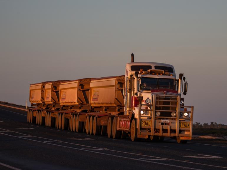 Implementing speed limits in the Pilbara mining region to protect animals is a classic example of a Canberra thought bubble that sounds good at a board table, but is entirely unsuited to reality.