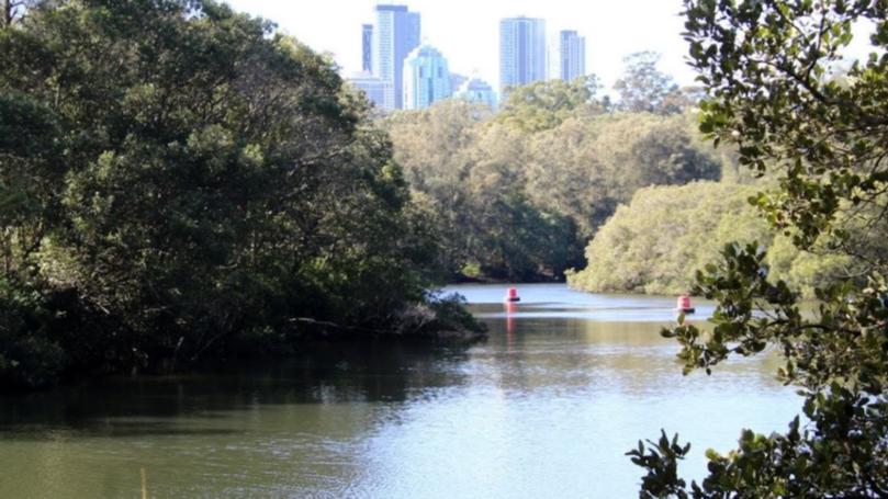 NSW Police said detectives launched an investigation after the body of a man, aged in his 50s, was discovered in the Lane Cove River in West Pymble, in the city’s Upper North Shore, early Saturday morning.