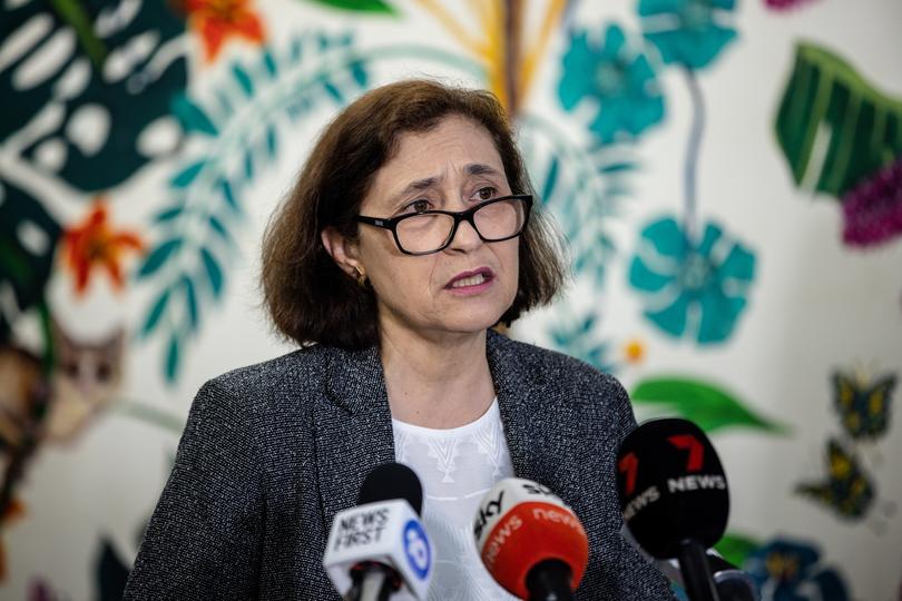 Victorian Minister for Climate Action Lily D'Ambrosio speaks to media during a press conference in Melbourne, Tuesday, April 18, 2023. (AAP Image/Diego Fedele) NO ARCHIVING