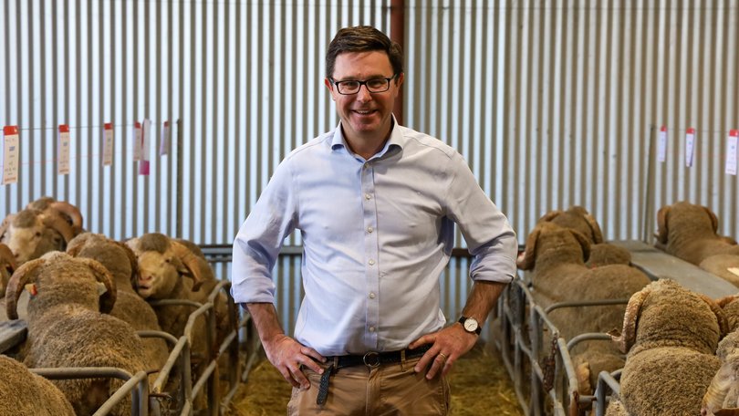 Nationals leader David Littleproud has accused the government of being “morally bankrupt” for shutting down Australia’s billion dollar live sheep export industry.