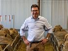 Nationals leader David Littleproud has accused the government of being “morally bankrupt” for shutting down Australia’s billion dollar live sheep export industry.
