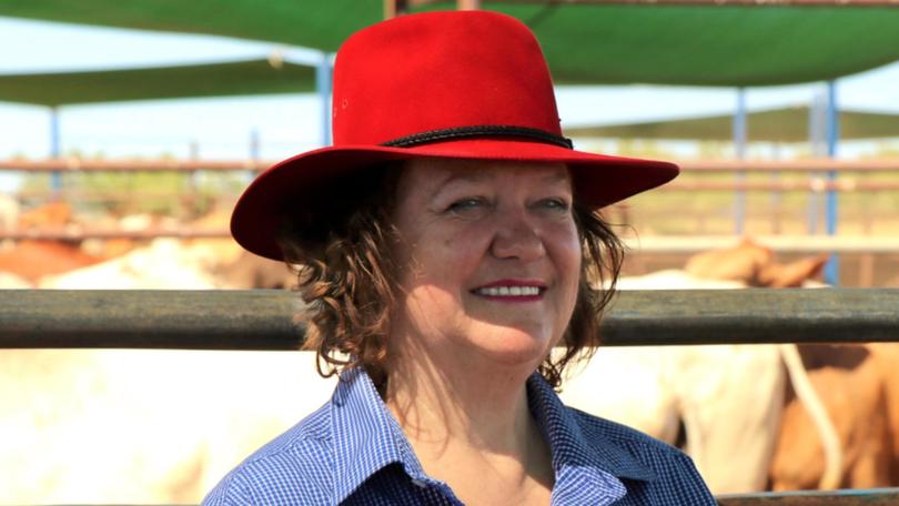 Our super-rich are led by Gina Rinehart. SUPPLIED