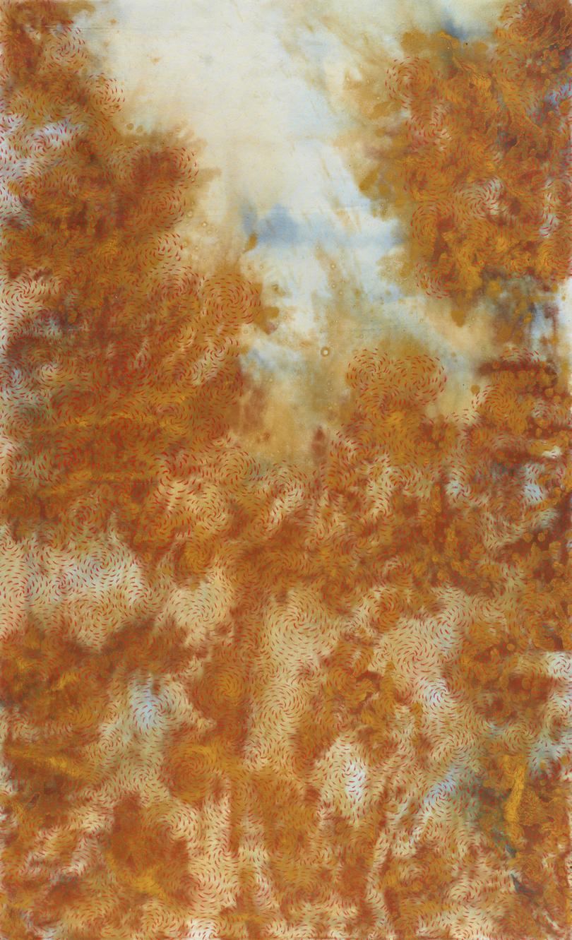red tides (1997) by Judy Watson Â© Judy Watson. Image Â© Art Gallery of New South Wales.
