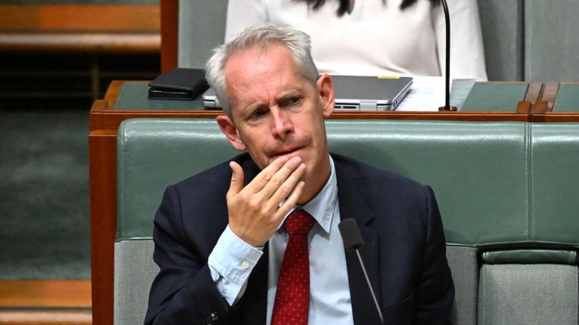 Immigration Minister Andrew Giles.