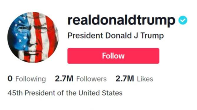 Former President and convicted felon Donald Trump has launched a TikTok account.