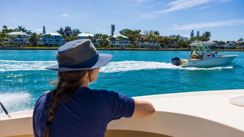 Some 50,000 boats are registered in the dolphins’ home range within Sarasota Bay.