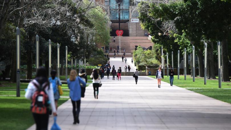 A universities leader is slamming the Labor government's plan to cut international student numbers. (Dean Lewins/AAP PHOTOS)