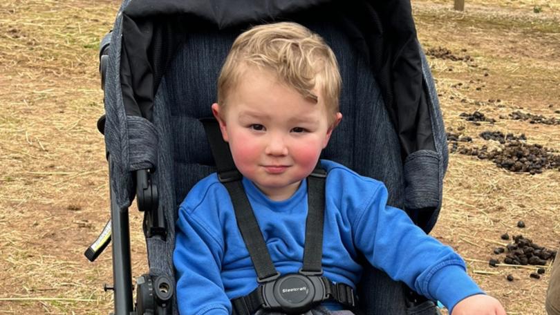 Luke Huddle has been identified as the toddler who drowned in a dam after going missing from his Lara home.