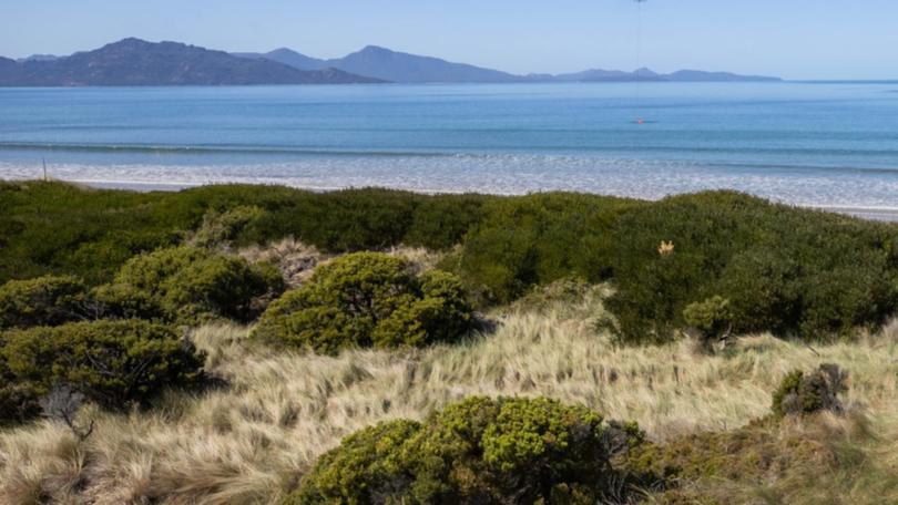 A human arm bone was found at Dolphin Sands on Tasmania's picturesque east coast in 2000.