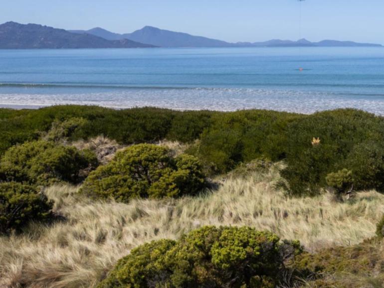 A human arm bone was found at Dolphin Sands on Tasmania's picturesque east coast in 2000.