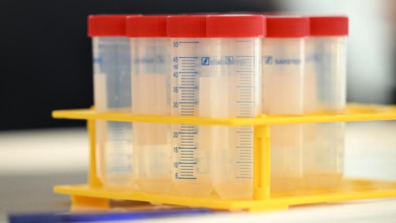 A cluster of cancer cases among workers at a Sydney council is being investigated.
