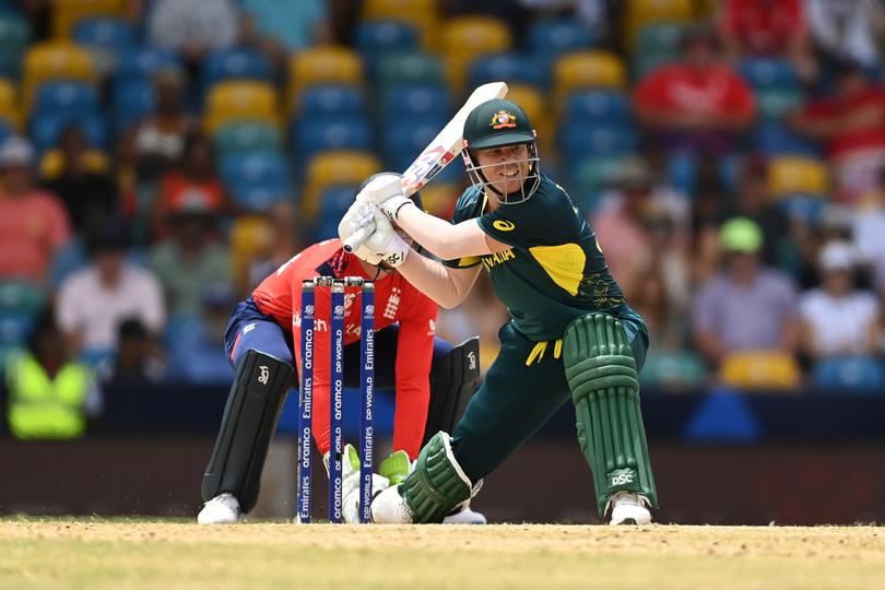 David Warner made a key contribution with the bat.