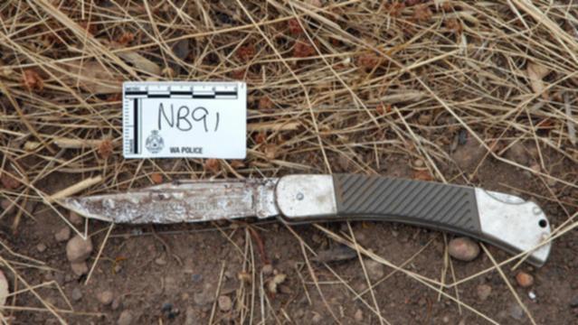 Story for Saturday on an appeal bid by Scott Austic. Police photographs of the murder weapon which was found in a paddock by officers.