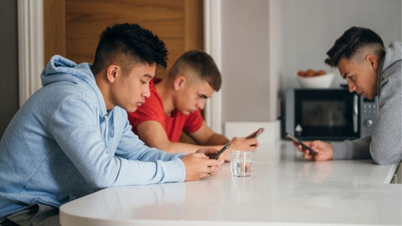 Young boys struggling with what it means to be a man need positive role models online as they’re targeted with harmful content, the eSafety Commissioner says.