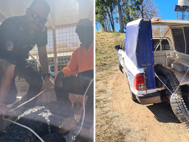 Northern Territory Police and Department of Environment rangers, Parks and Water Security removed a problem crocodile in Bulla community.