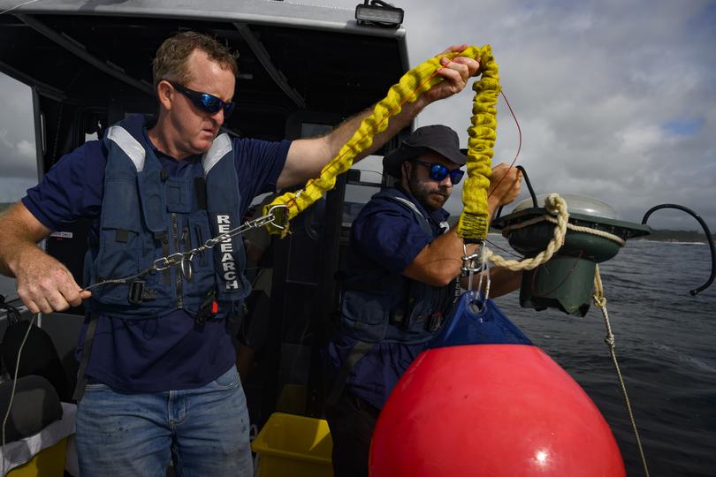 DPI scientist Paul Butcher, left, and colleague James Tulloch pick up a drumline after getting a false alert that a shark had taken the bait.