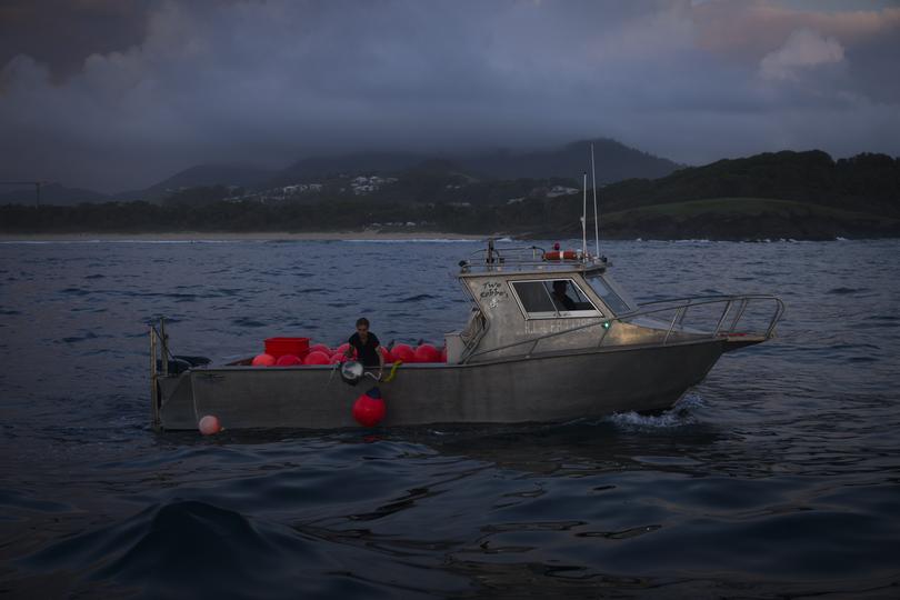 Samara Bye, a contractor for the New South Wales Department of Primary Industries, deploys a SMART drumline off Coffs Harbour, 300 miles north of Sydney. 