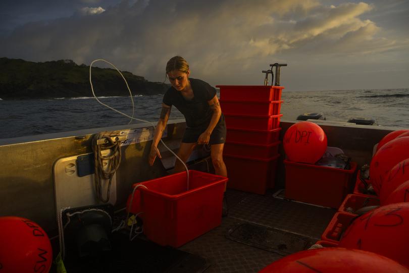 Samara Bye throwing a baited drumline overboard. She repeats this process every 1,000 yards or so along the Coffs Harbour coastline.  