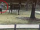 CCTV has captured the moments before a woman was shot by police after threatening them with a knife in a Melbourne park.