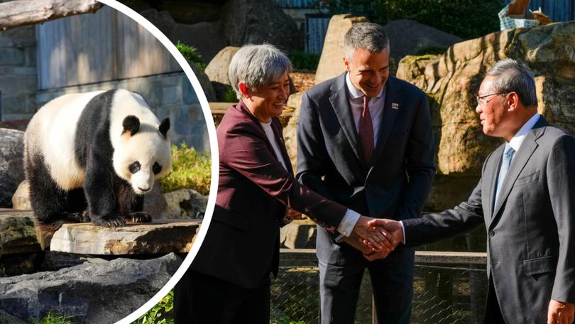 Panda diplomacy has lived up to its name, with visiting Chinese premier Li Qiang announcing the country will gift Australia two new pandas for Adelaide Zoo.