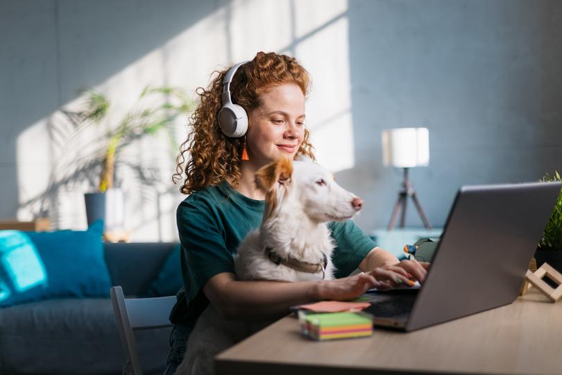 Attractive young female freelancer casually working from the comfort of her home and having her pet dog in her lap to keep her company while she is typing on her laptop