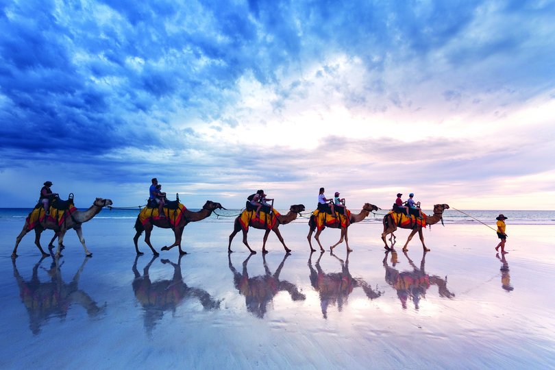 Camels on Cable Beach, Broome.