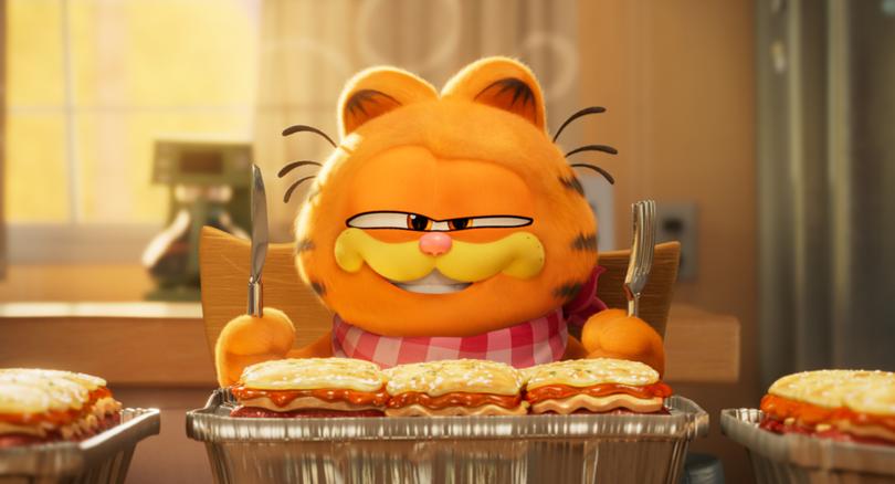 Garfield the movie