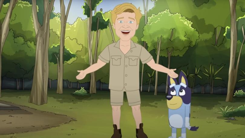 One Nation’s cartoon. Robert Irwin and Bluey.