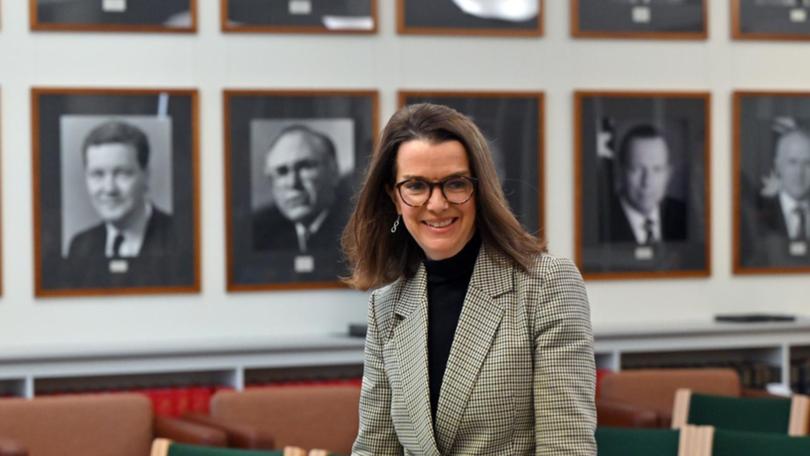 Opposition spokeswoman for sport Anne Ruston declared tickets to national and A-league soccer games. (Mick Tsikas/AAP PHOTOS)