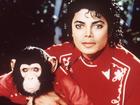 Michael Jackson rescued Bubbles the chimpanzee from a Texas research facility in the 1980s. (AP PHOTO)