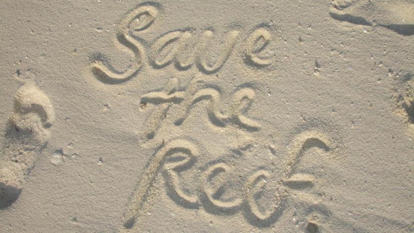 'Save the Reef' written on the sand on a beach