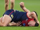 Melbourne have backed star defender Steven May after he was fined for staging against the Kangaroos.  