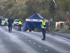 Two migrant farm workers are dead and nine other people are injured after a minibus crashed into a tree in northwest Victoria.