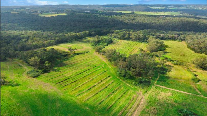A licensed medicinal cannabis farm on the Central Coast has hit the market with an asking price of $10 million.