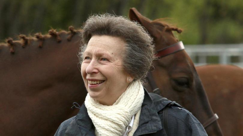 Princess Anne's injuries were consistent with a potential impact from a horse's head or legs. (AP PHOTO)