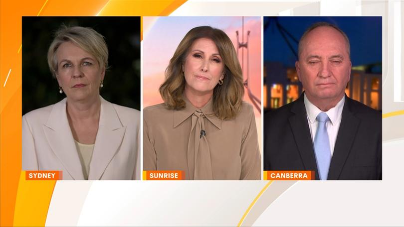 Nationals MP Barnaby Joyce joined Nat Barr and Minister for Environment and Water Tanya Plibersek on Sunrise, where he spoke about his 15kg weight loss after he stopped drinking alcohol and smoking.