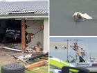 A man has attempted a getaway in Sunshine Coast waters after allegedly crashing a stolen car into a house.