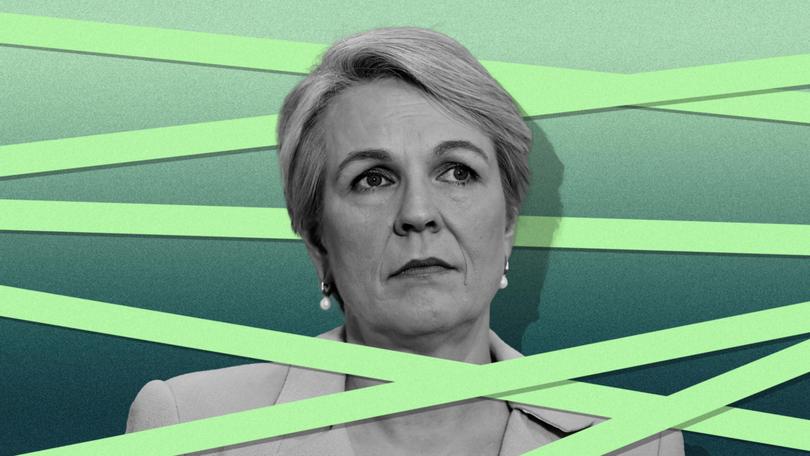A spokeswoman for Environment Minister Tanya Plibersek did not rule out introducing a climate trigger when quizzed by The Nightly, but suggested it was not on the table imminently. 