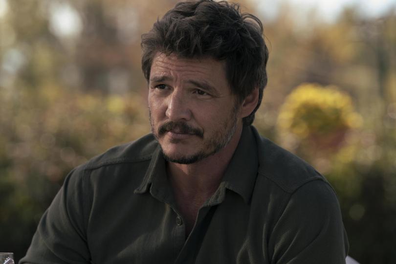 Pedro Pascal is fantastic as Joel in The Last of Us.